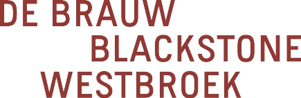 De Brauw Blackstone Westbroek N.V.